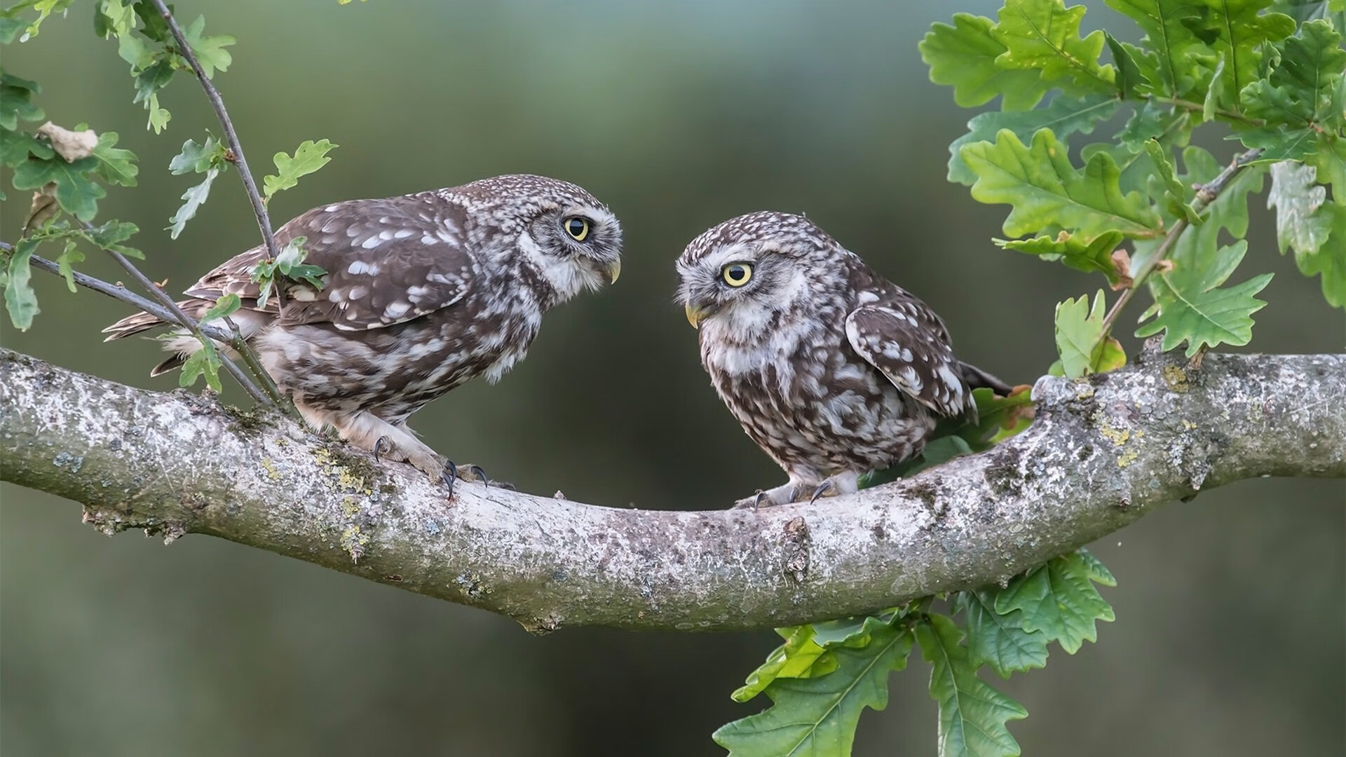 印度代表团以28金、38银、41铜的成绩，位列奖牌榜第四。，印度派出史上最大的奥运代表团