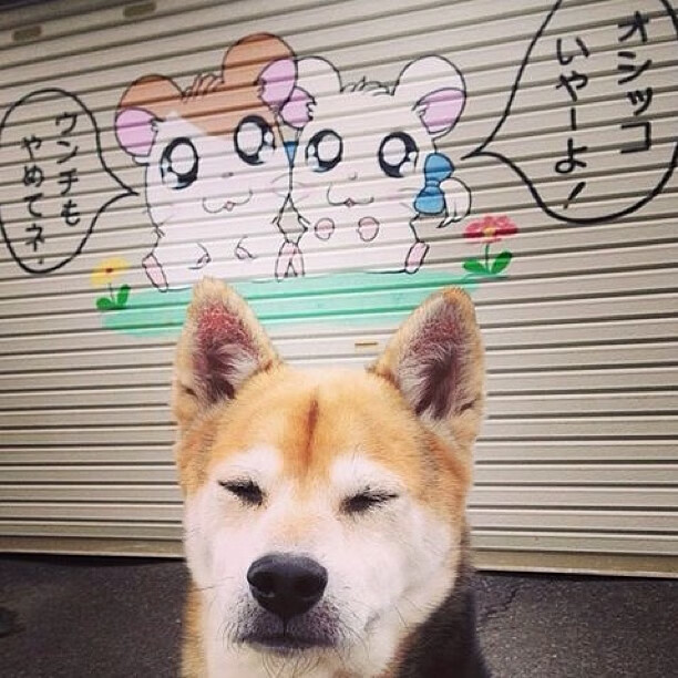 “青训导师交流会成功举办,推动全国青训水平提升”,青年训练队