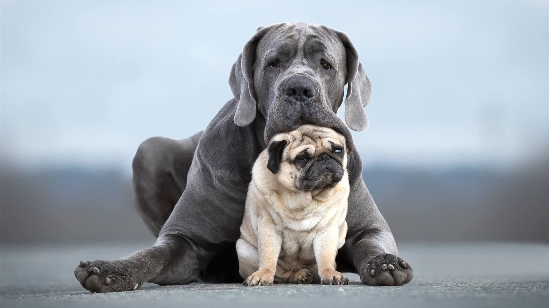 “青训导师交流会成功举办,推动全国青训水平提升”,青年训练队