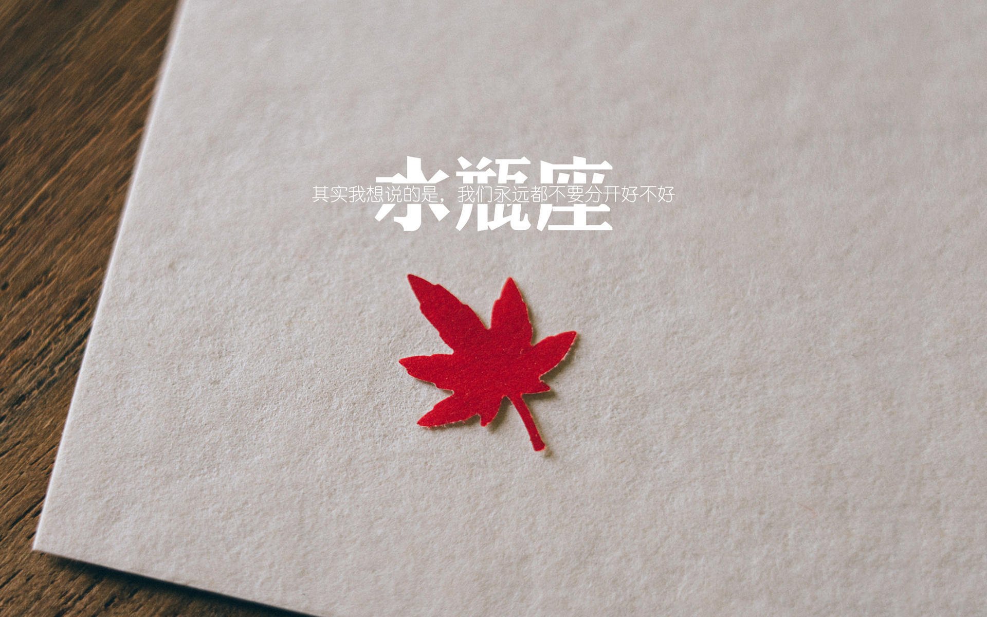 开云体育中国官网-中国女篮备战国际赛事，训练强度提升，中国队女篮