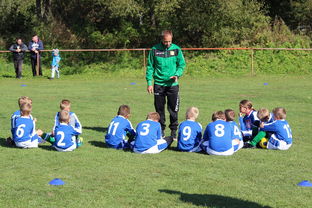 开云官网在线-意甲赛事中应用心理暗示战术干预效果研究